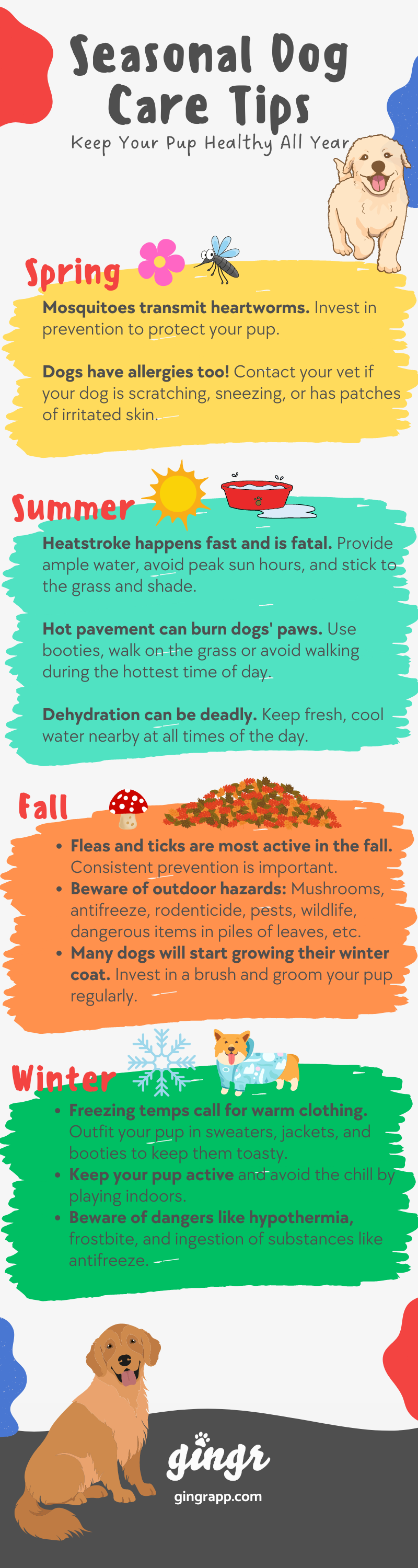 Seasonal Puppy Care: What to Do Each Season - Featured Image